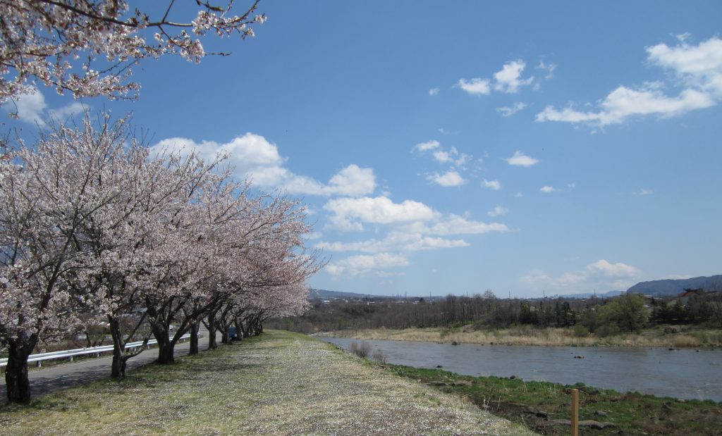 along Chikumagawa near Unnnojuku , Nagano prefecture