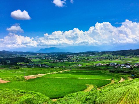 typical summer of countryside in Japan from photoAC