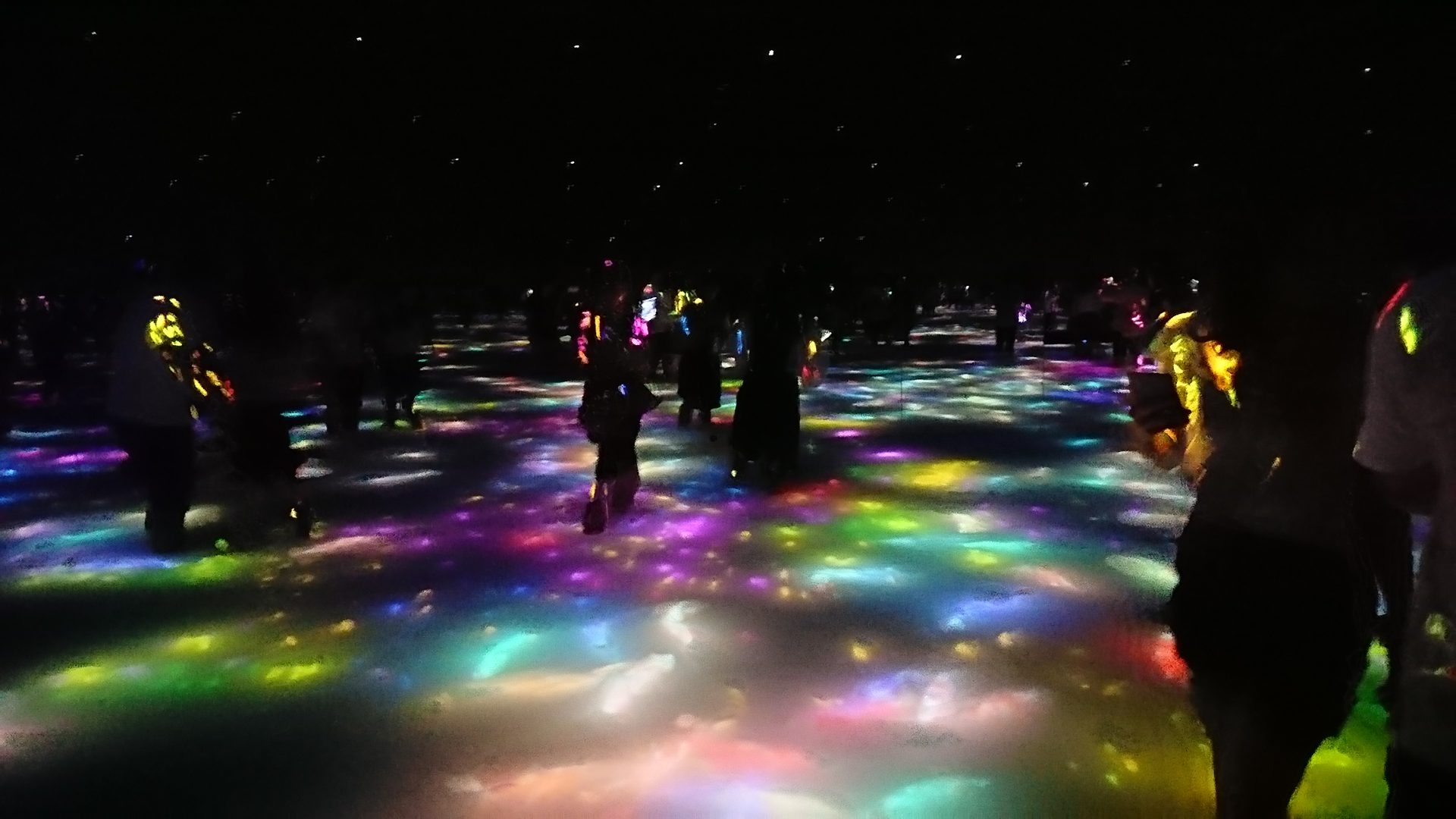 "Drawing on the Water Surface Created by the Dance of Koi and People - Infinity" at team Lab Planets in Toyosu, Tokyo