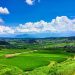 typical summer of countryside in Japan from photoAC